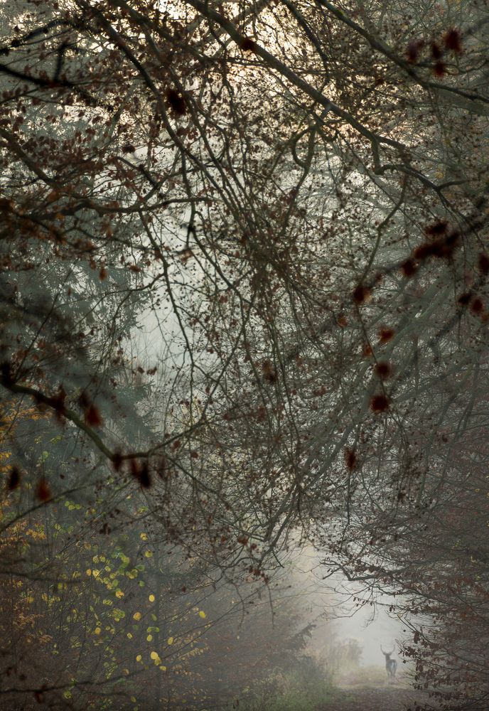 Photograph by Krzysztof Bozalek