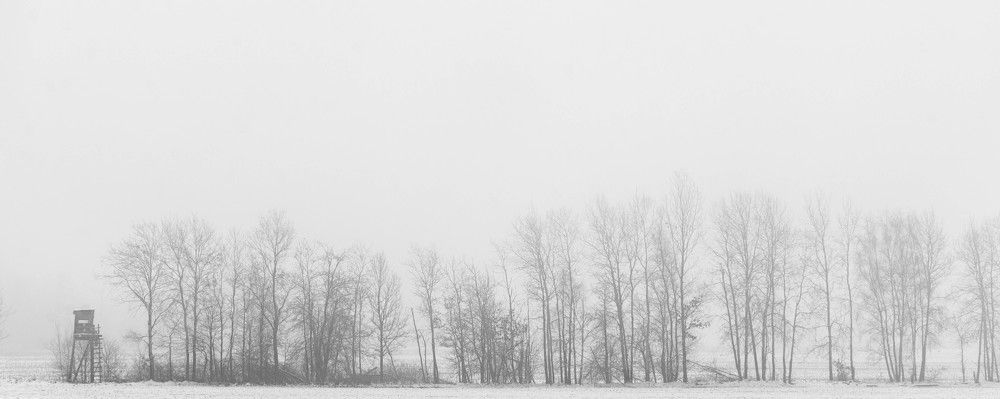 Photograph by Krzysztof Bozalek