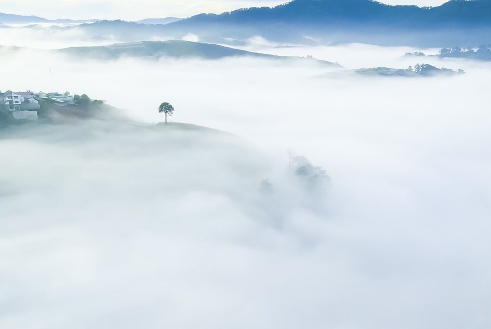 Photograph by Trung Duong