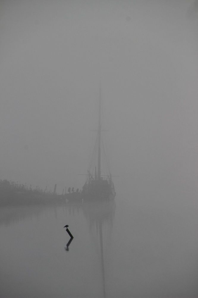 Photograph by Lev Kaufman