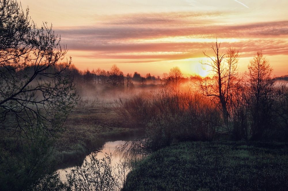 Photograph by Алексей Пилипушко