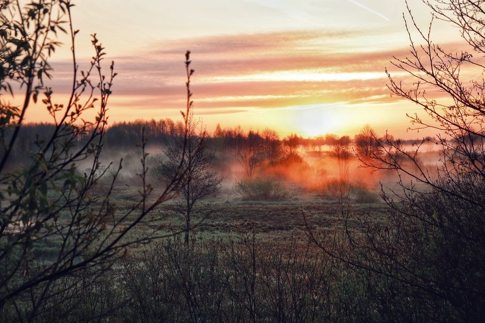 Photograph by Алексей Пилипушко