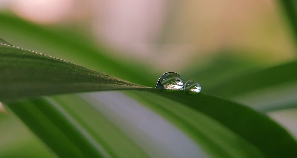 Фотография автора Ольга Кунакова
