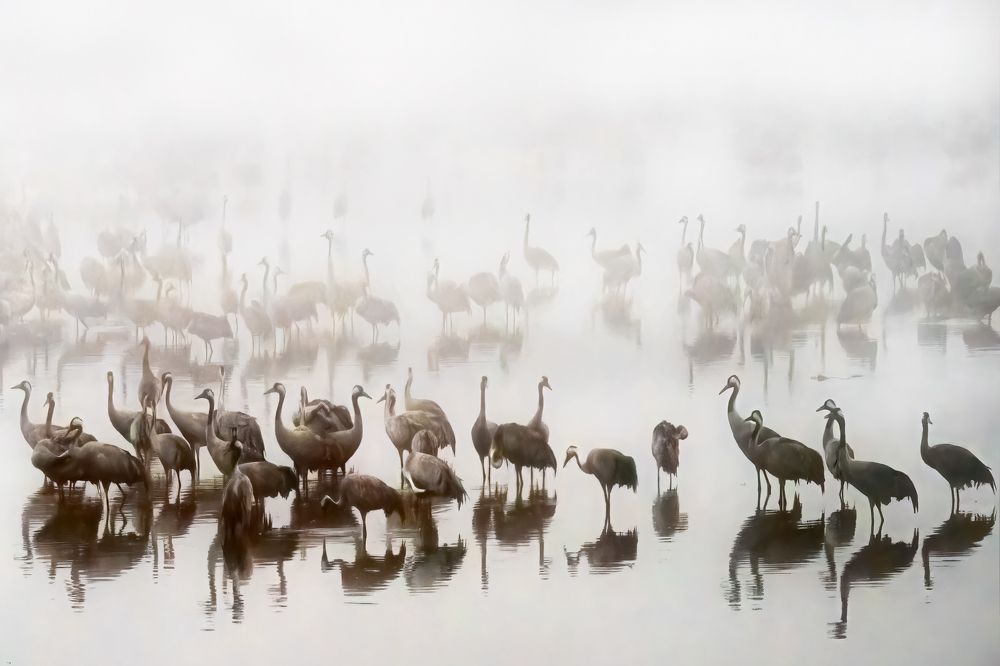 Photograph by Шварцман Евгений