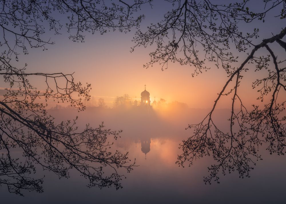 Photograph by Политова Анна