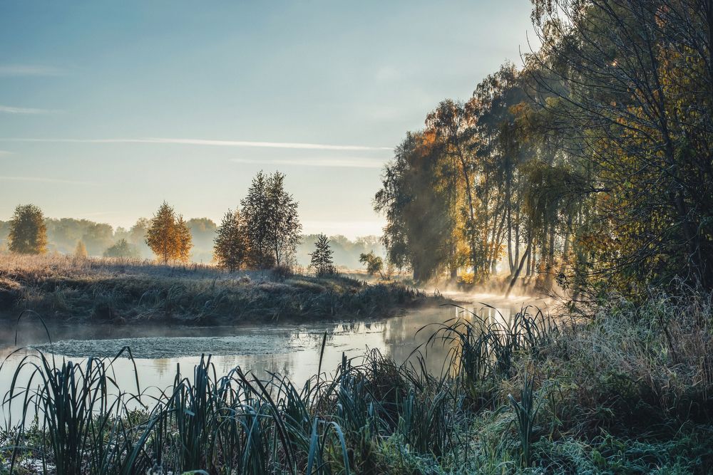 Photograph by Лебедева Ольга