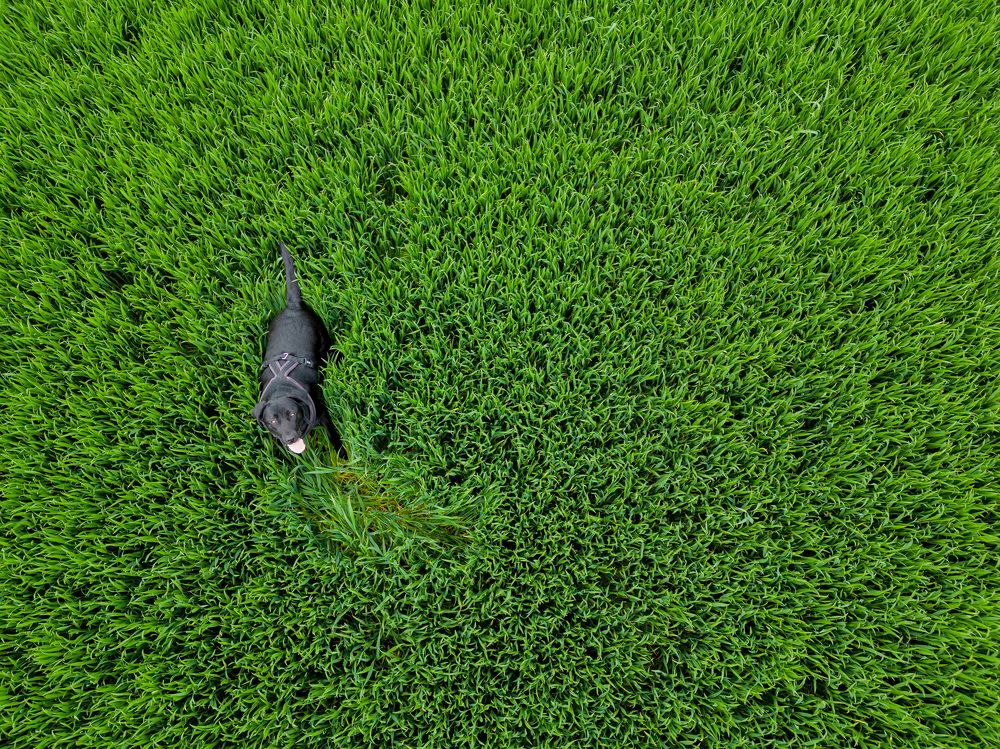 Photograph by Ľuboš Pítek