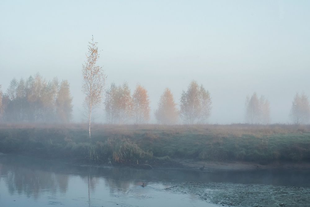 Photograph by Лебедева Ольга