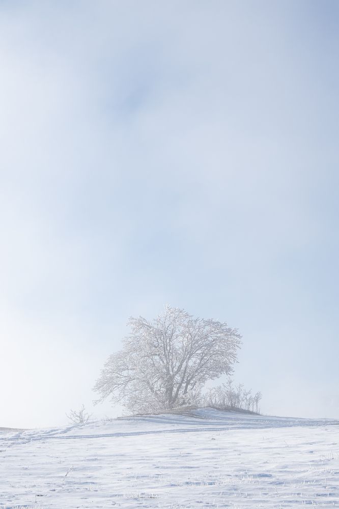 Photograph by Dmitry Ishniyazov