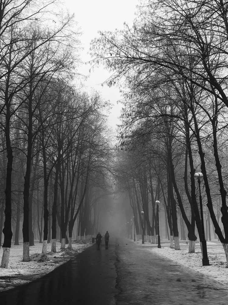 Photograph by Анна