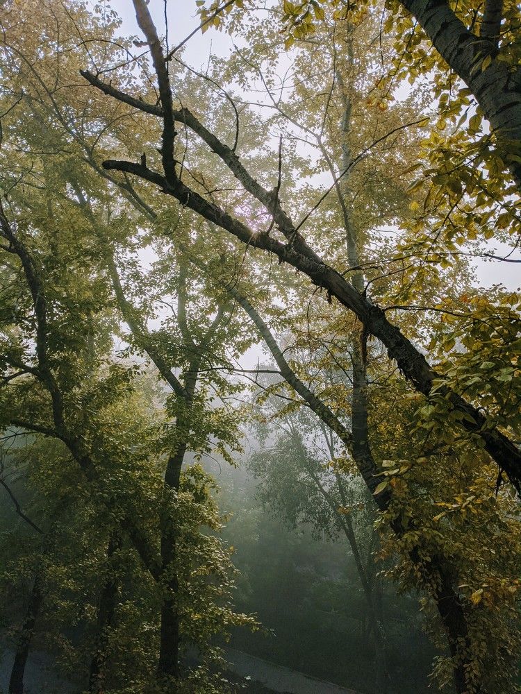 Photo #9161909