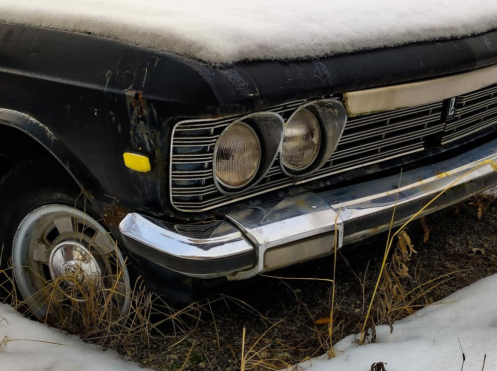 Photograph by Max_niksh