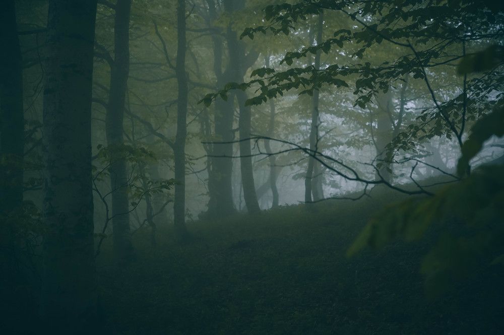 Photograph by Ирина Ри