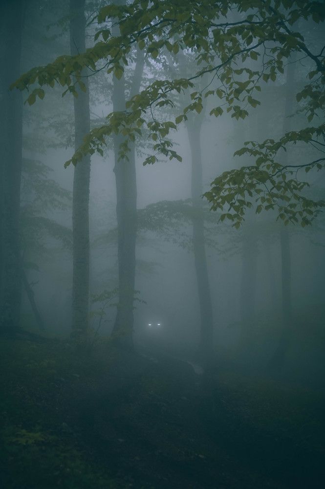 Photograph by Ирина Ри