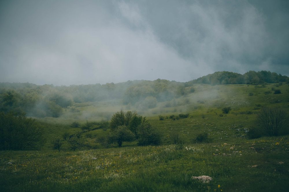 Photograph by Ирина Ри