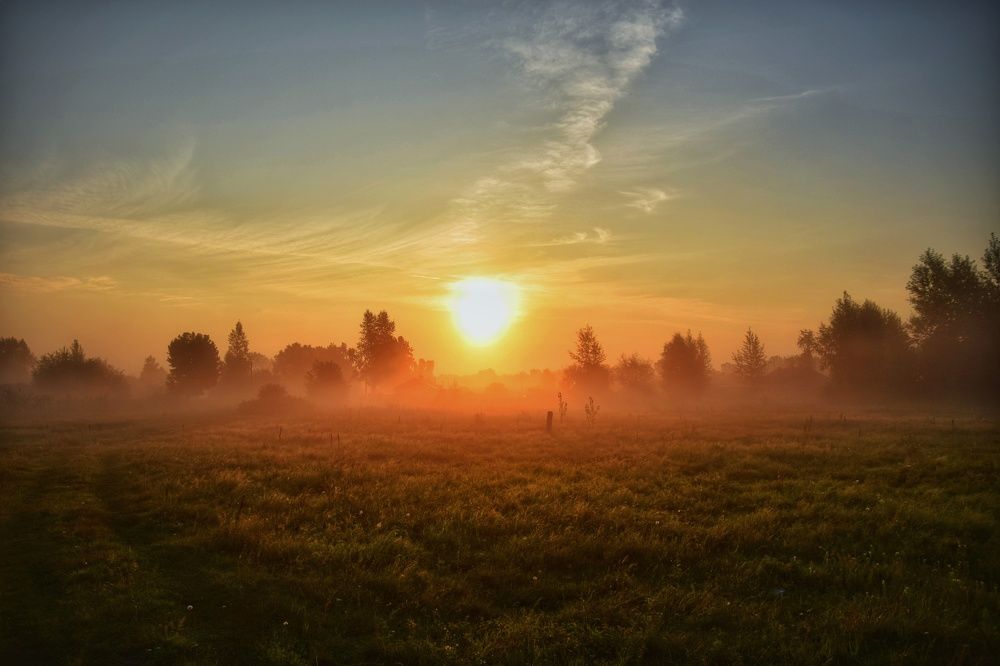 Photograph by Митюшкова Алёна