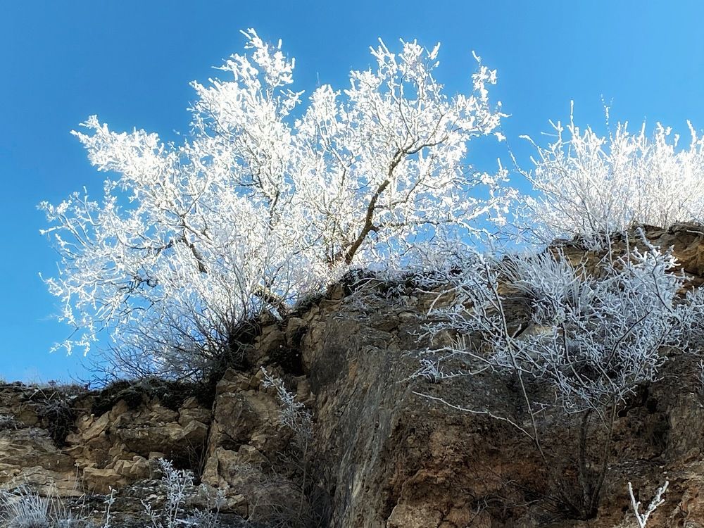 Photograph by Beatriz Calderón Alonso