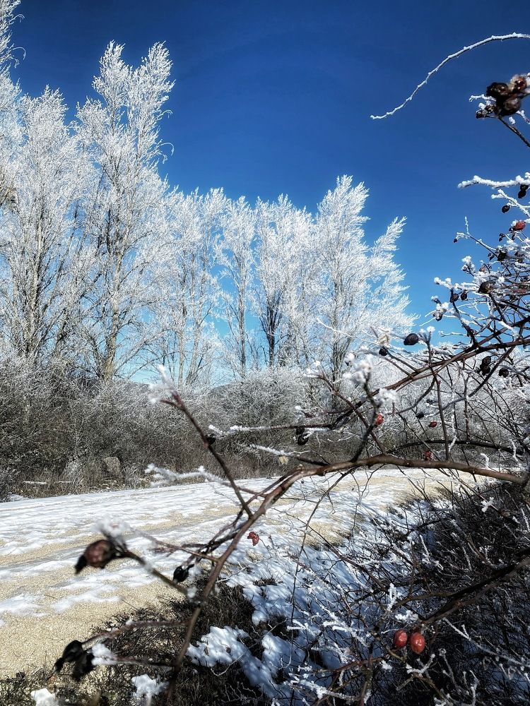 Photograph by Beatriz Calderón Alonso