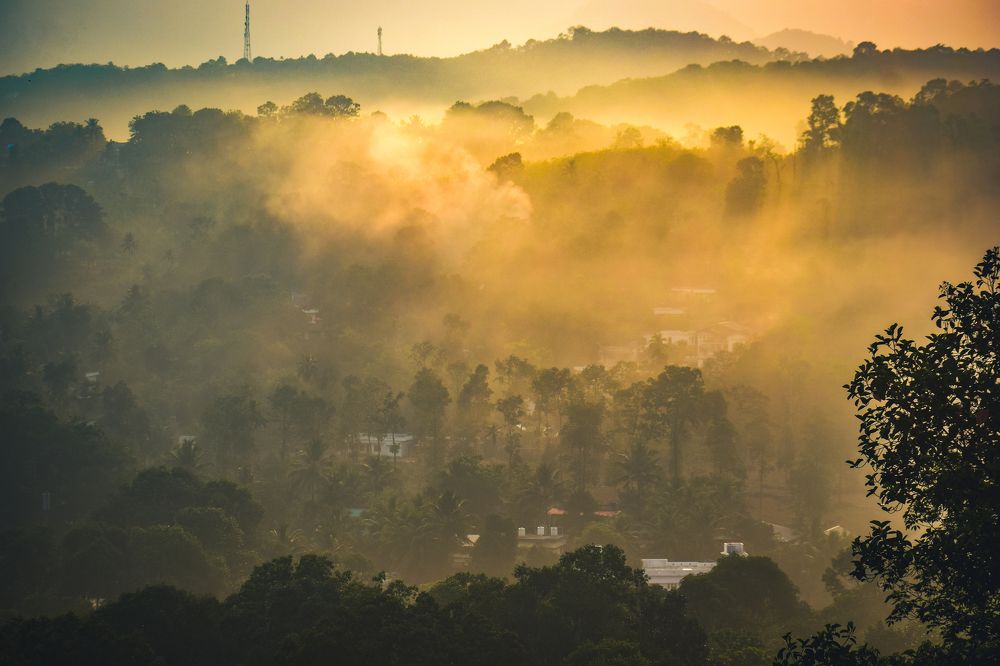 Photograph by Ashiq P F Mohammed