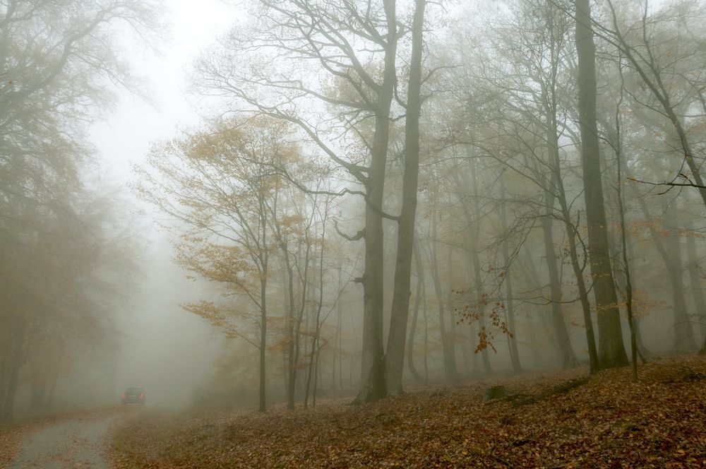 Photograph by Nikolay Isaakov