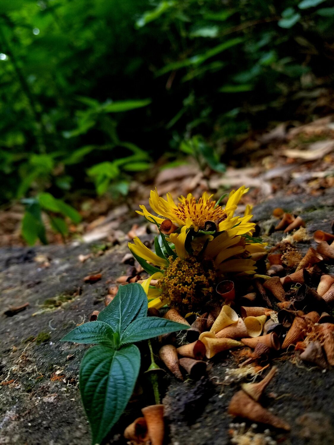 Photo #9162011