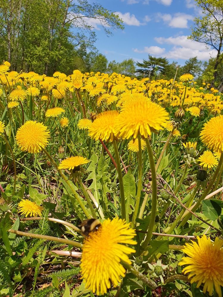 Photograph by Жанна Регор