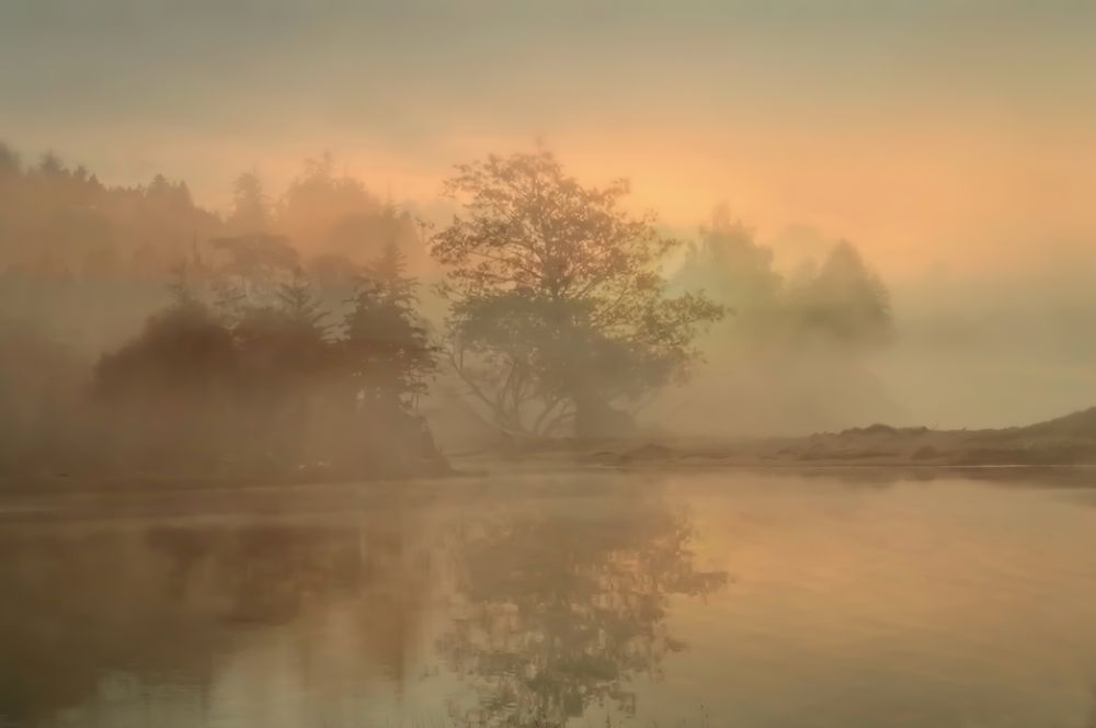 Рассвет в тумане