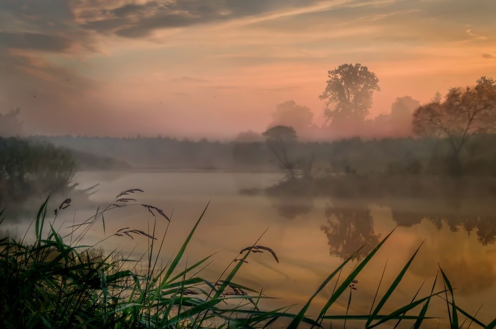 Поднималась зорька алая
