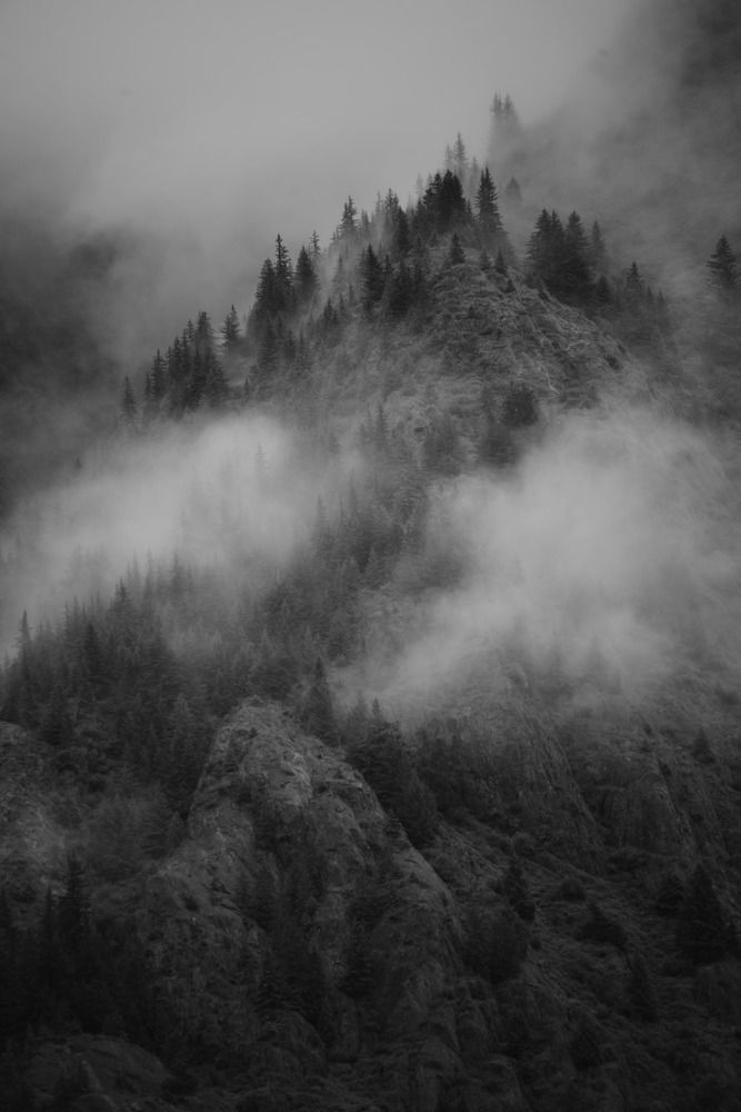 Фотография автора YURY RAMITSAN