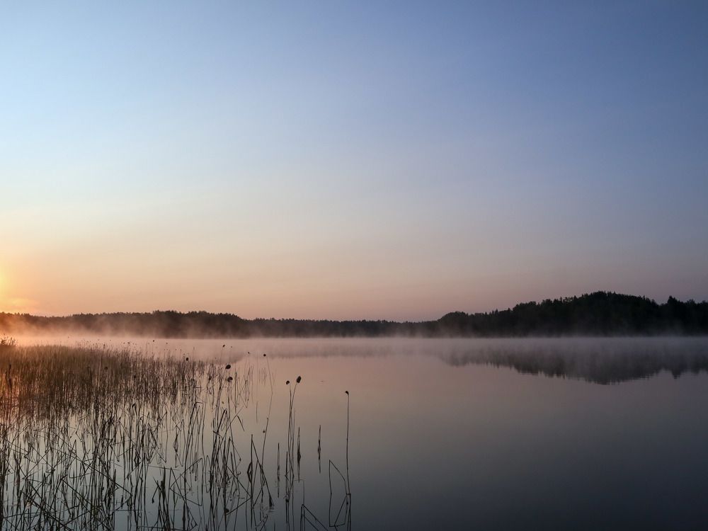 Photograph by Ирина Корабельникова