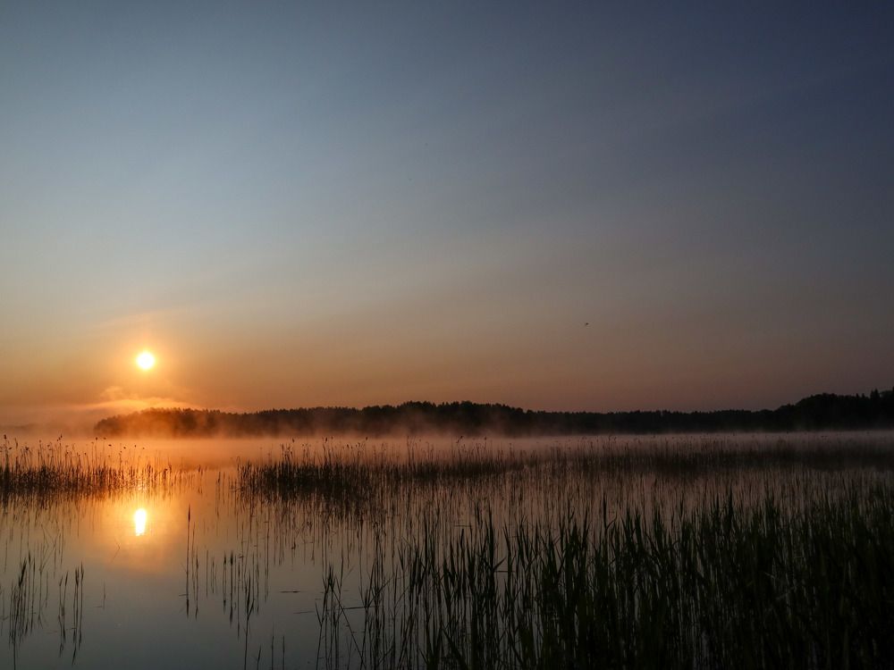 Photograph by Ирина Корабельникова