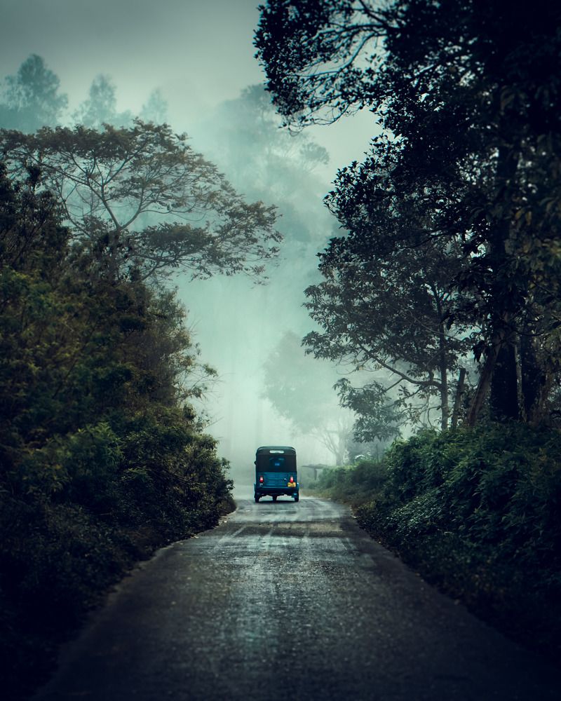 Photograph by Damith Gihan