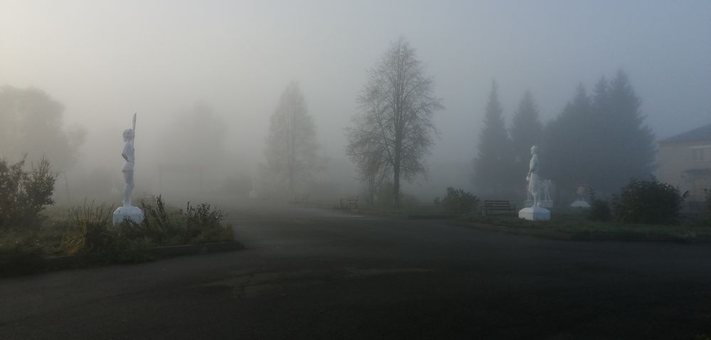 Photograph by Полина Родюкова