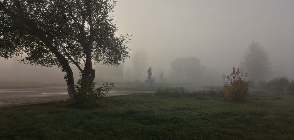 Photograph by Полина Родюкова