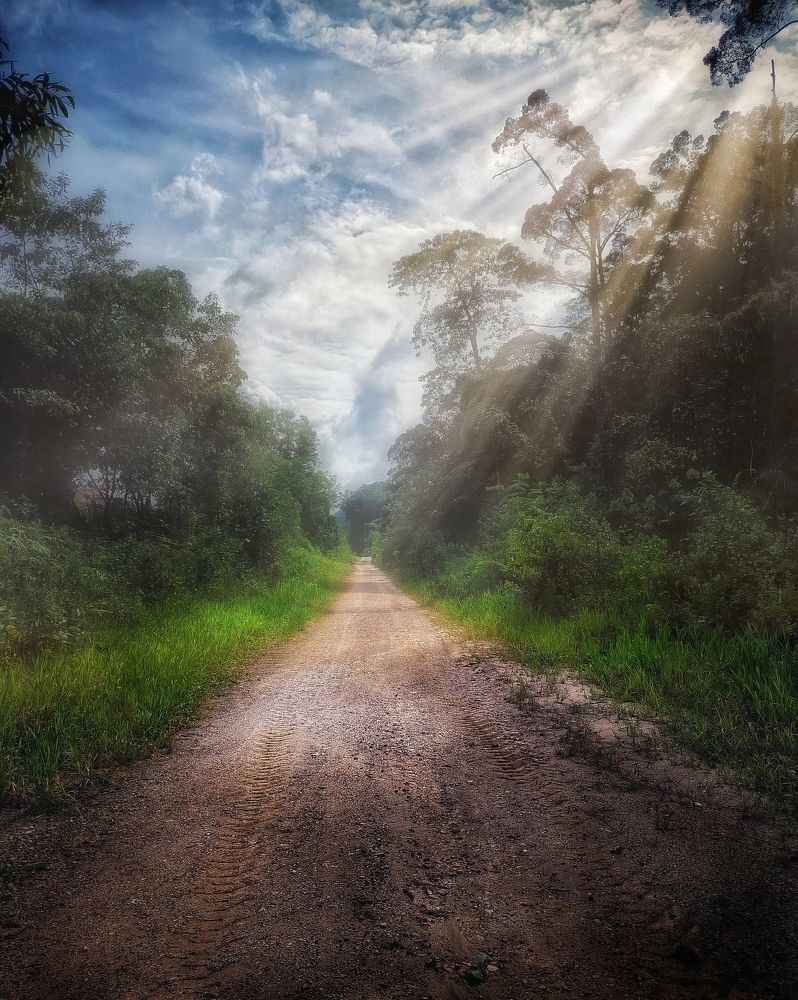 Photograph by Namesh Rao