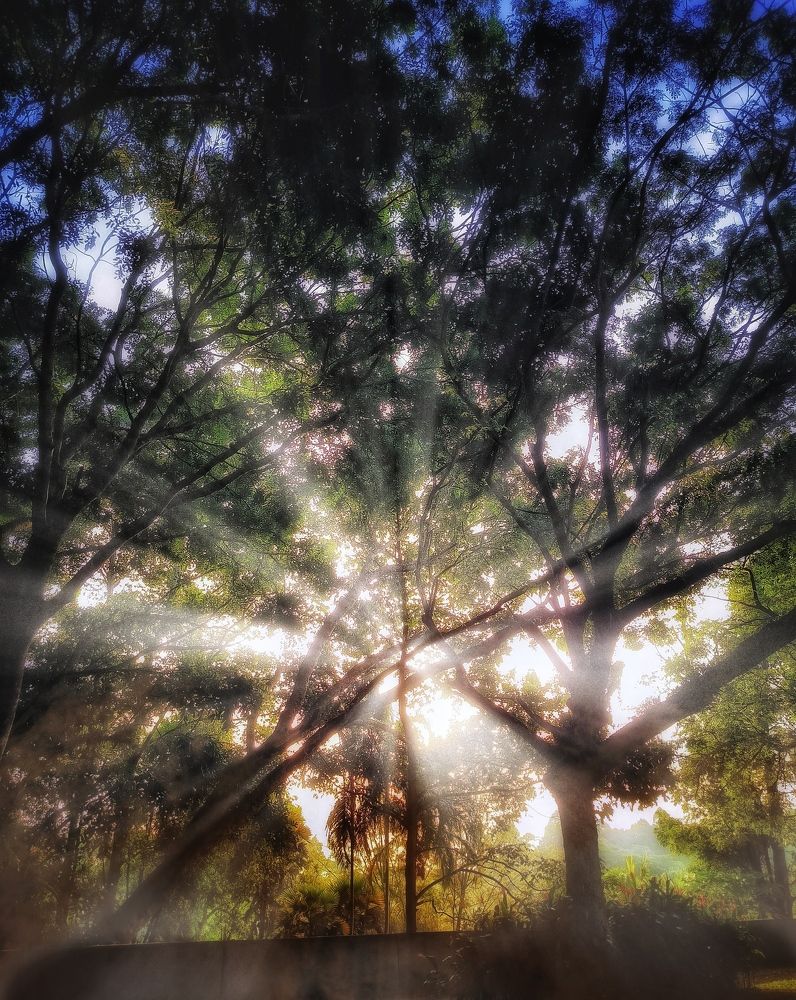 Photograph by Namesh Rao