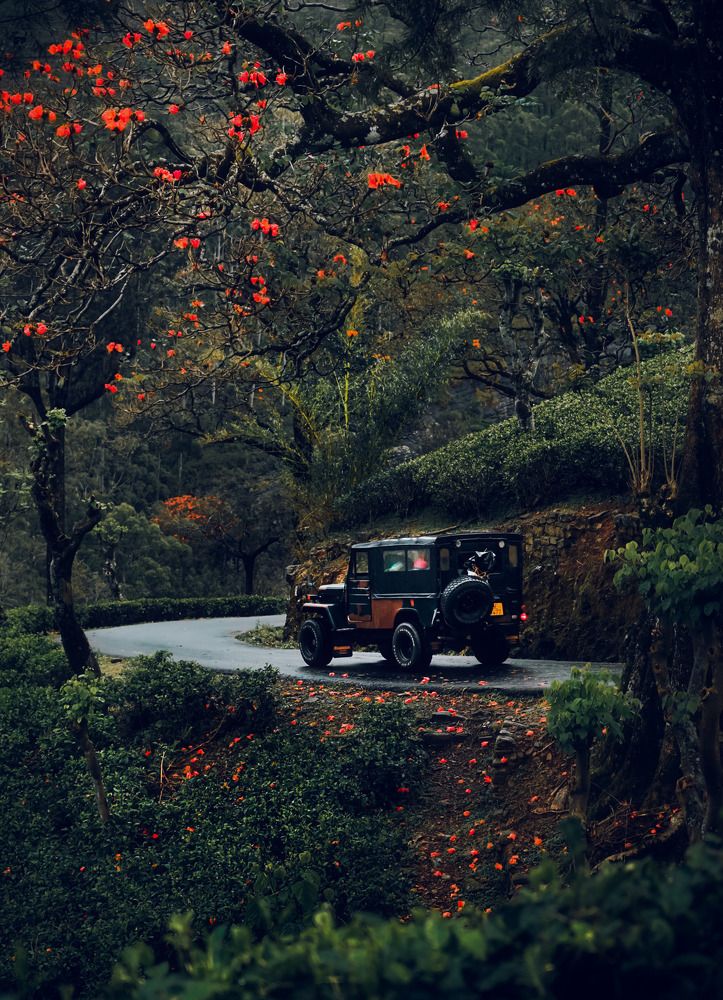 Photograph by Damith Gihan