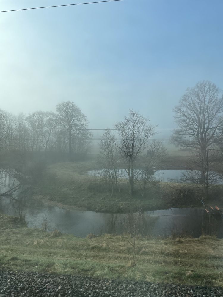 Photograph by Ирина Леонова