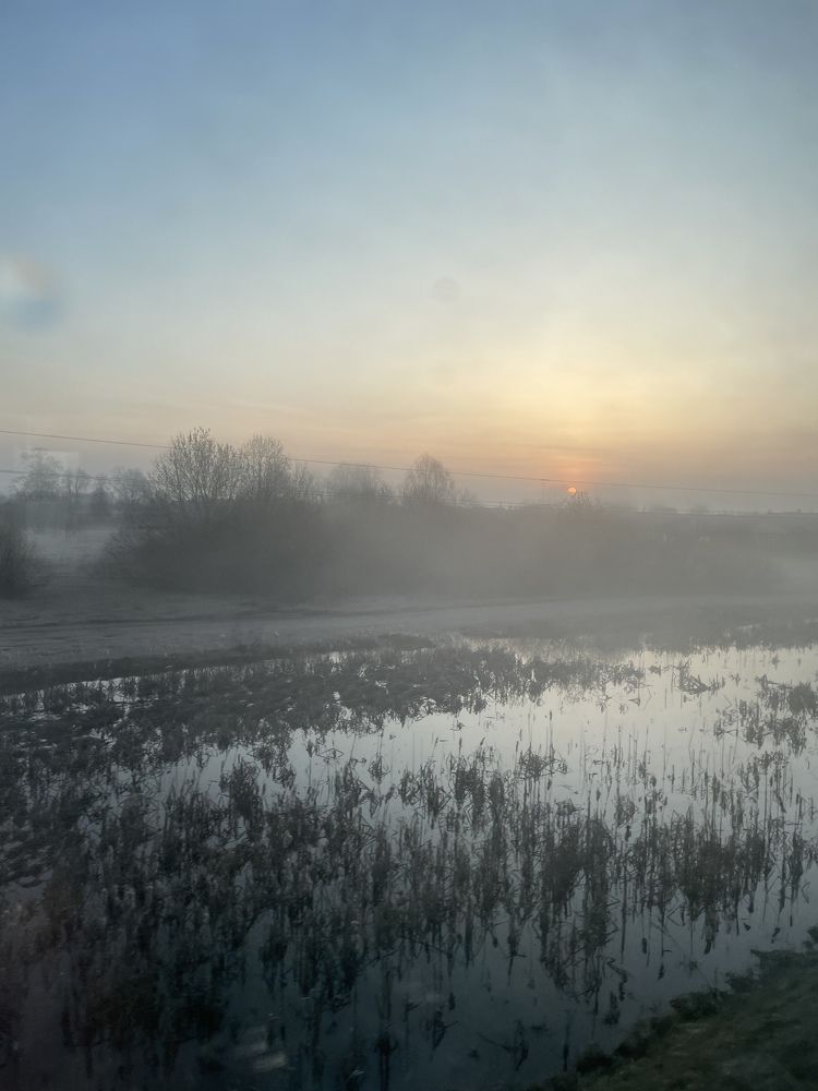 Photograph by Ирина Леонова