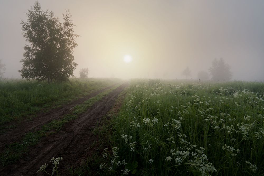 Photograph by Юрьев Борис