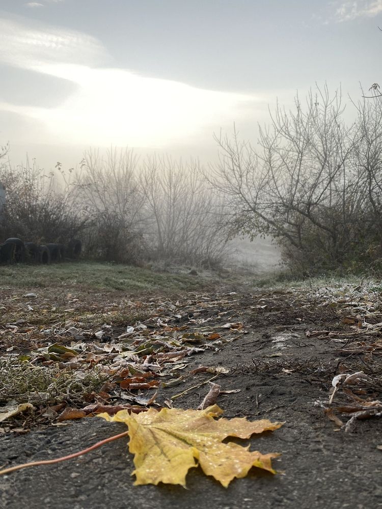 Photograph by Елена Гущина