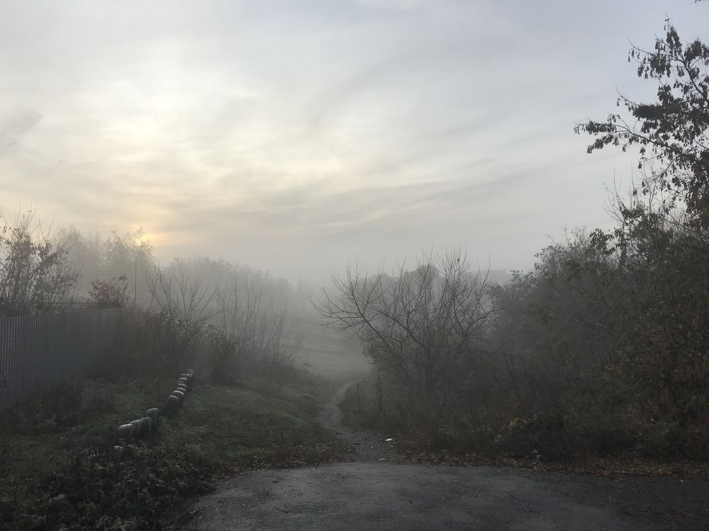 Photograph by Елена Гущина