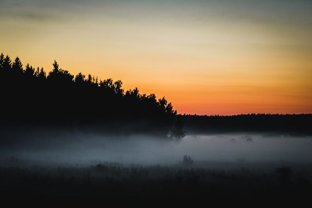 Photograph by hobbit