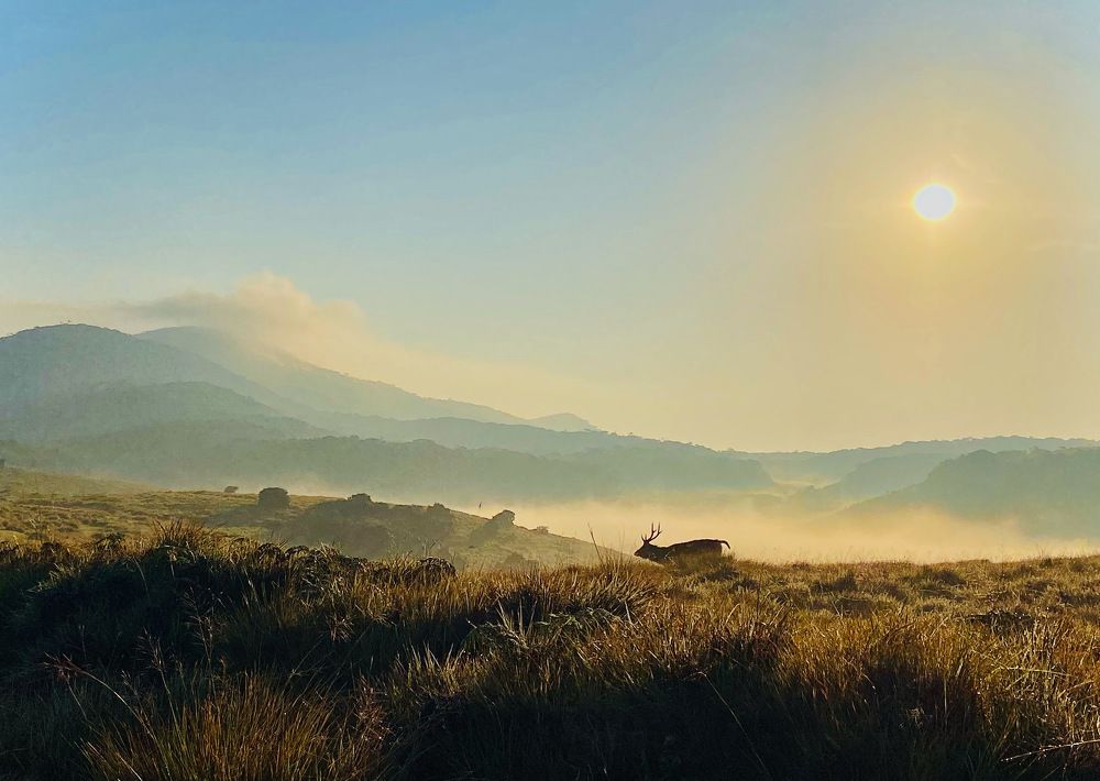 Photograph by Chathuranga Deshapriya