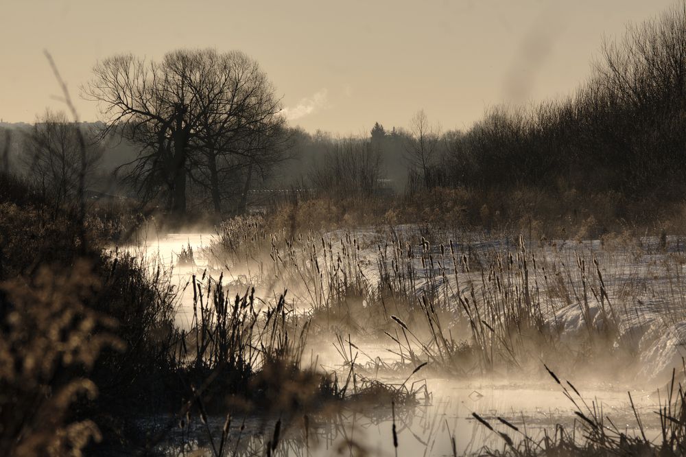 Photograph by Василий Арлашов