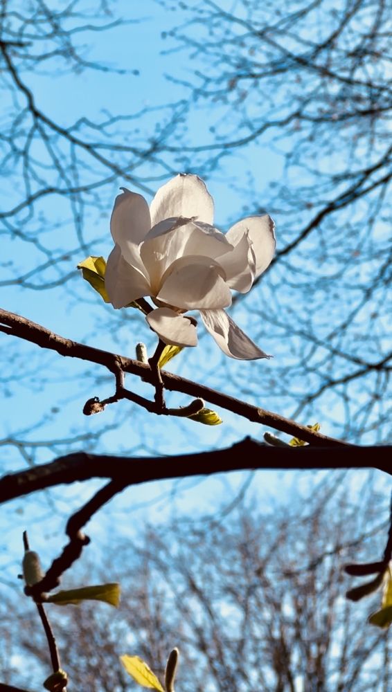 Photograph by Елена Юркевич