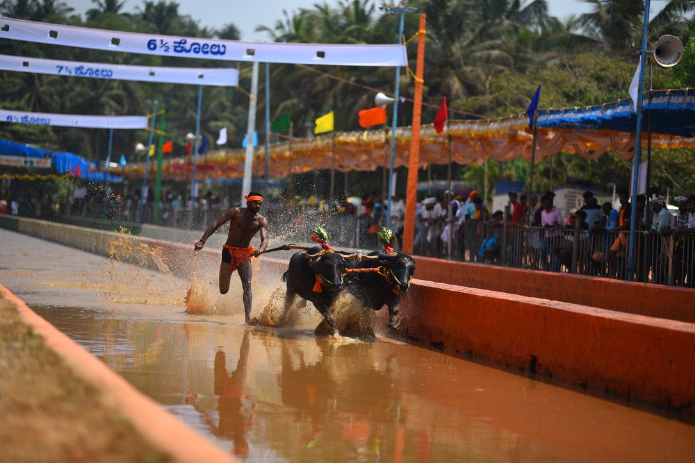 Gladiator on the loose