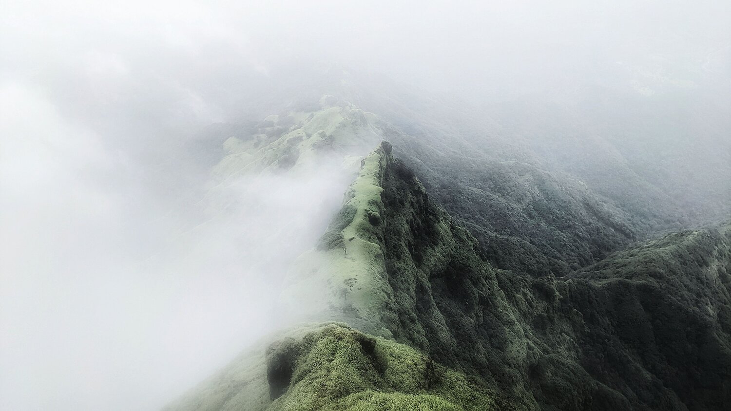 That Line between haziness & clarity.