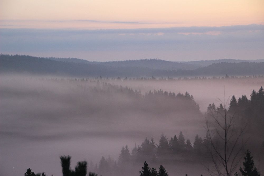 Photograph by Lev Kaufman