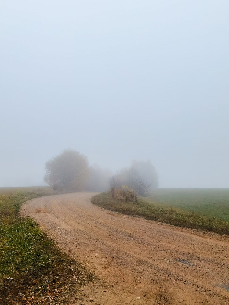 Photograph by Vladislav Srebniak